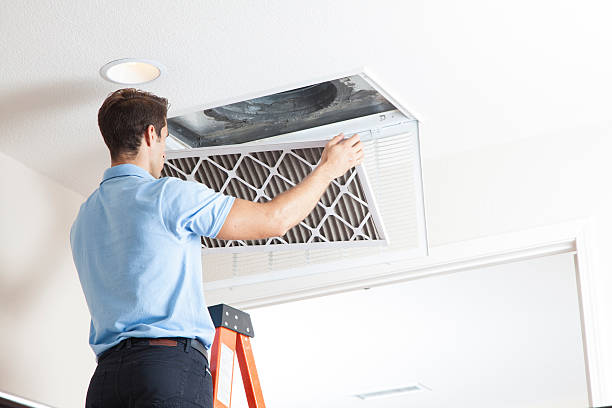 Best Local HVAC companies  in Laurel, DE